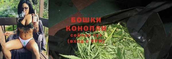 PSILOCYBIN Алексеевка