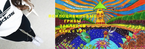 PSILOCYBIN Алексеевка