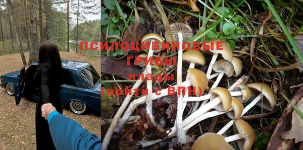 PSILOCYBIN Алексеевка