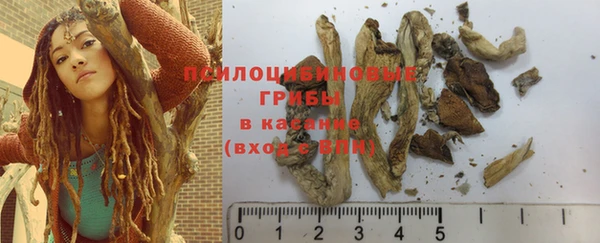 PSILOCYBIN Алексеевка