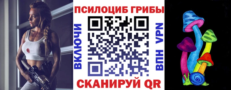 Псилоцибиновые грибы мицелий Темников